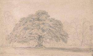 De bedelaars eik, Bagots Park, 12 augustus 1820 (Een beroemde oude boom op Lord Bagots Blithfiel...